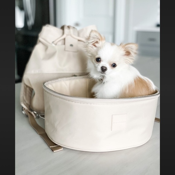 🐶 Maxbone Pet Dog Cat Carrier - Picture 3 of 7